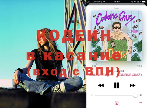 сатива Балахна