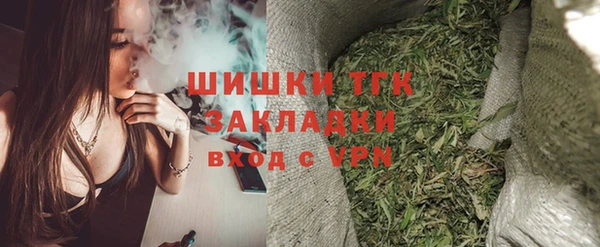 сатива Балахна