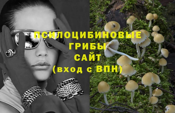 сатива Балахна