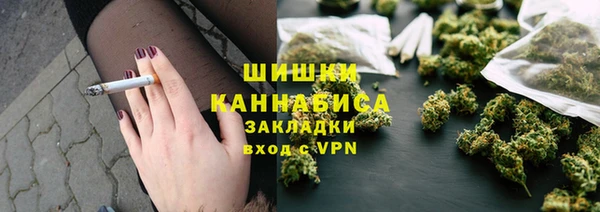 сатива Балахна