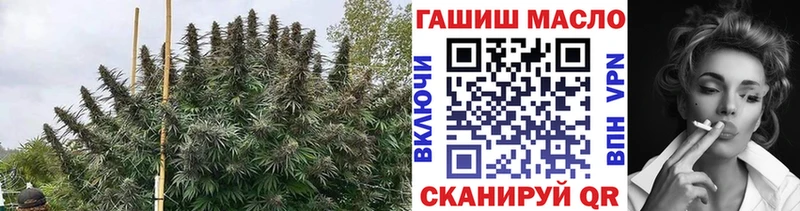ТГК вейп  что такое   Зеленокумск 